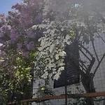 το σπίτι της ελένης דירה *