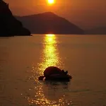 το σπίτι της ελένης *