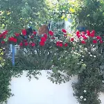 Apartmán το σπίτι της ελένης *