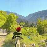 το σπίτι της ελένης דירה
