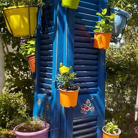 Apartment το σπίτι της ελένης Vlachia