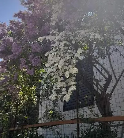 το σπίτι της ελένης Lejlighed *