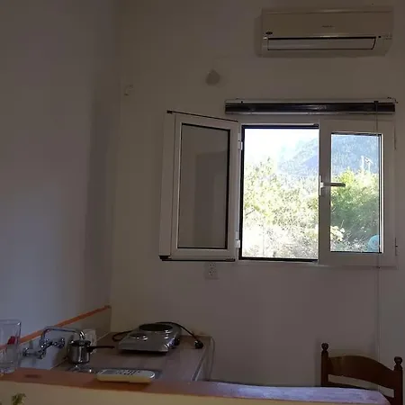 το σπίτι της ελένης * Vlachia