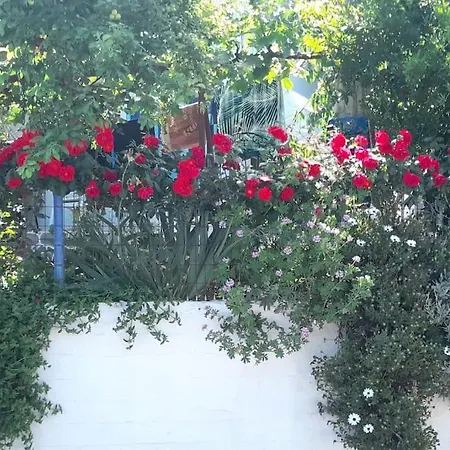 Lejlighed το σπίτι της ελένης *