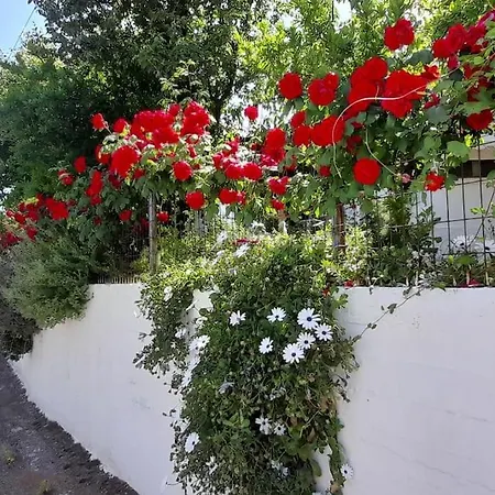 το σπίτι της ελένης Apartment *