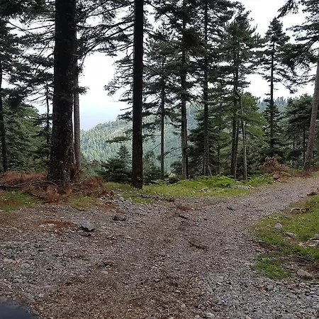 아파트 το σπίτι της ελένης Vlachia