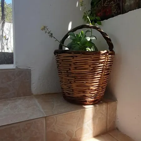 το σπίτι της ελένης * Vlachia