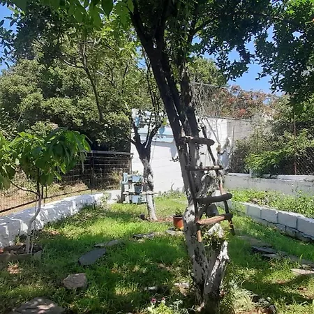 Apartment το σπίτι της ελένης Vlachia