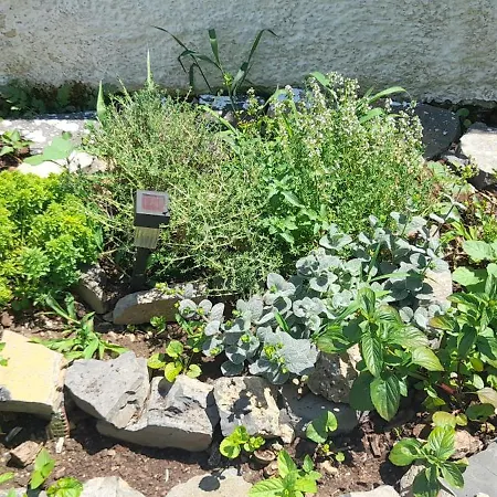 το σπίτι της ελένης *