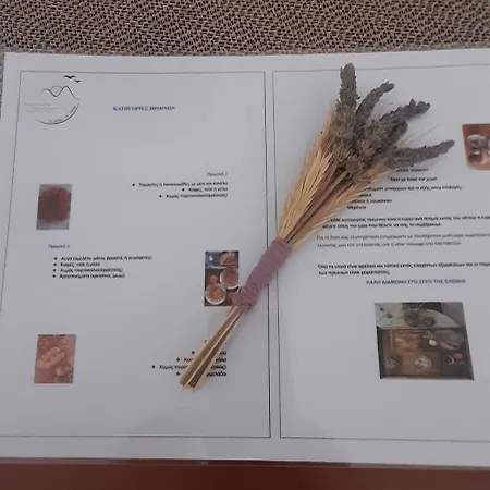 το σπίτι της ελένης * Vlachia