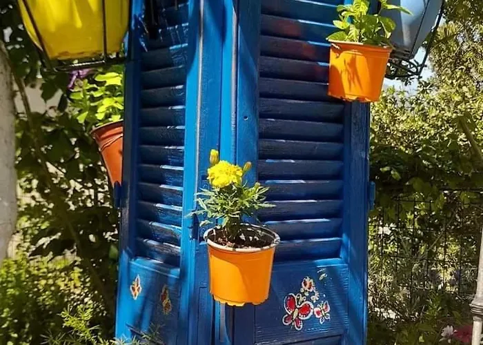 Διαμέρισμα το σπίτι της ελένης Vlachia