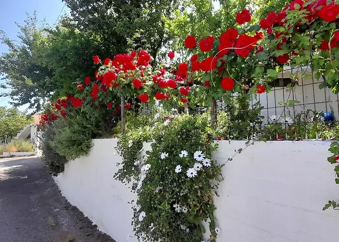 το σπίτι της ελένης Διαμέρισμα *