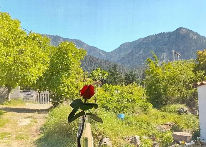 το σπίτι της ελένης Διαμέρισμα