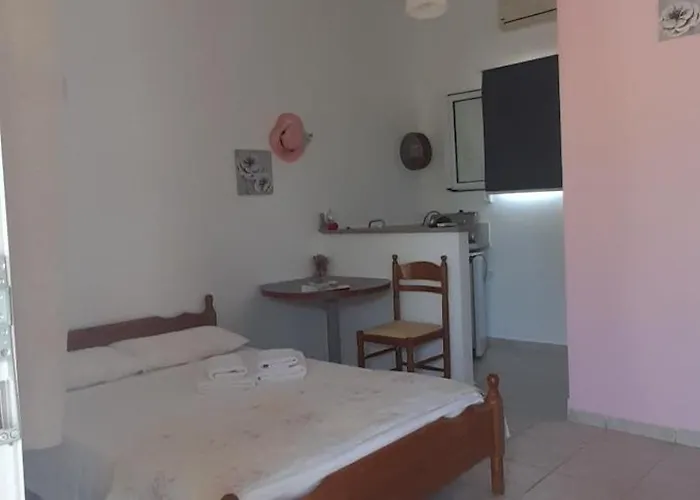 το σπίτι της ελένης Διαμέρισμα Vlachia