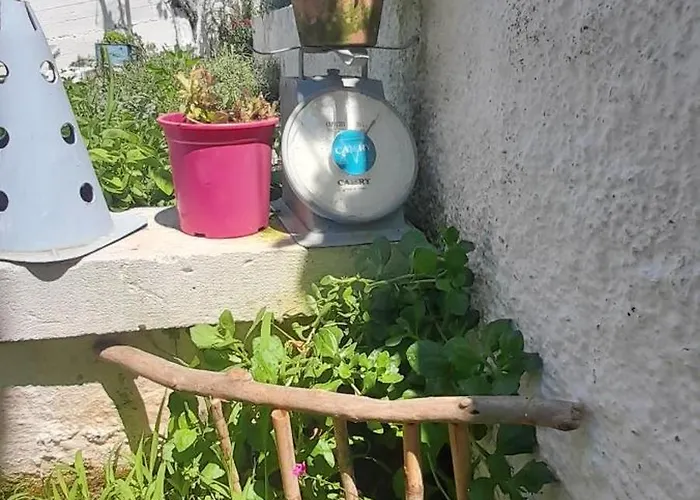 το σπίτι της ελένης Διαμέρισμα Vlachia