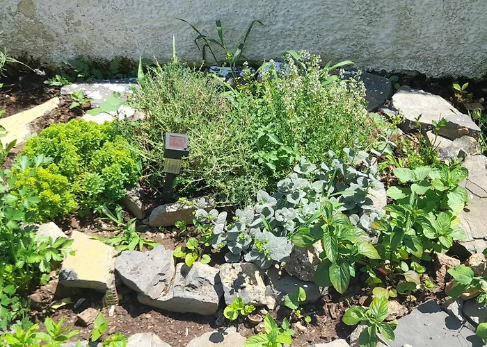 το σπίτι της ελένης *