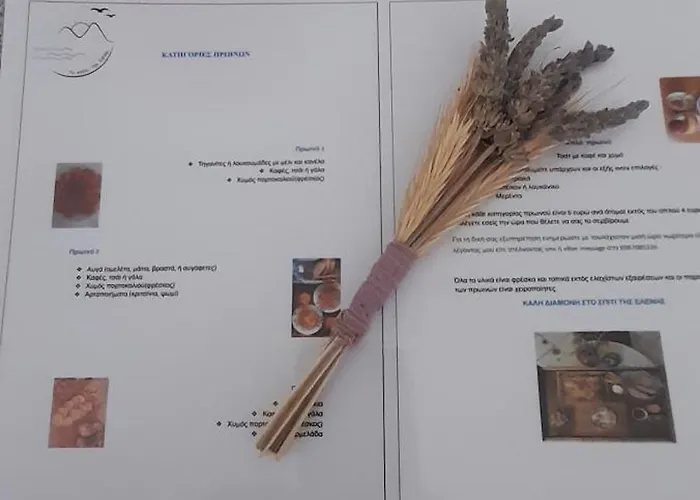 το σπίτι της ελένης * Vlachia